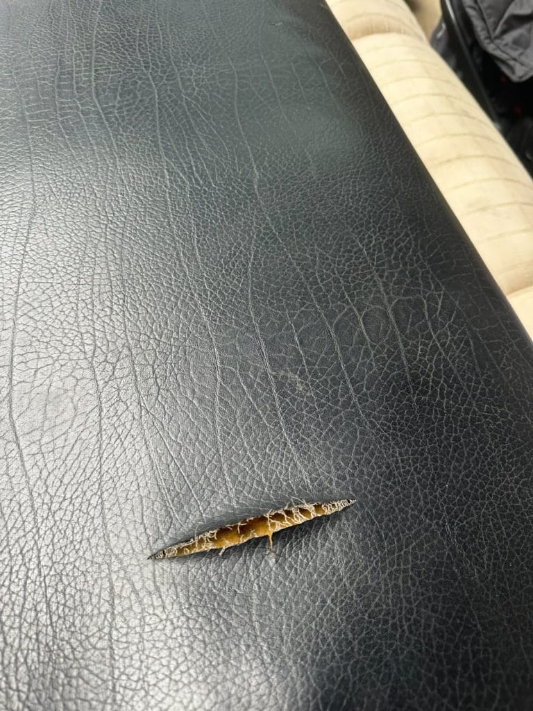 Plinto de gimnasia seccional de madera con colchonetas - Imagen 3