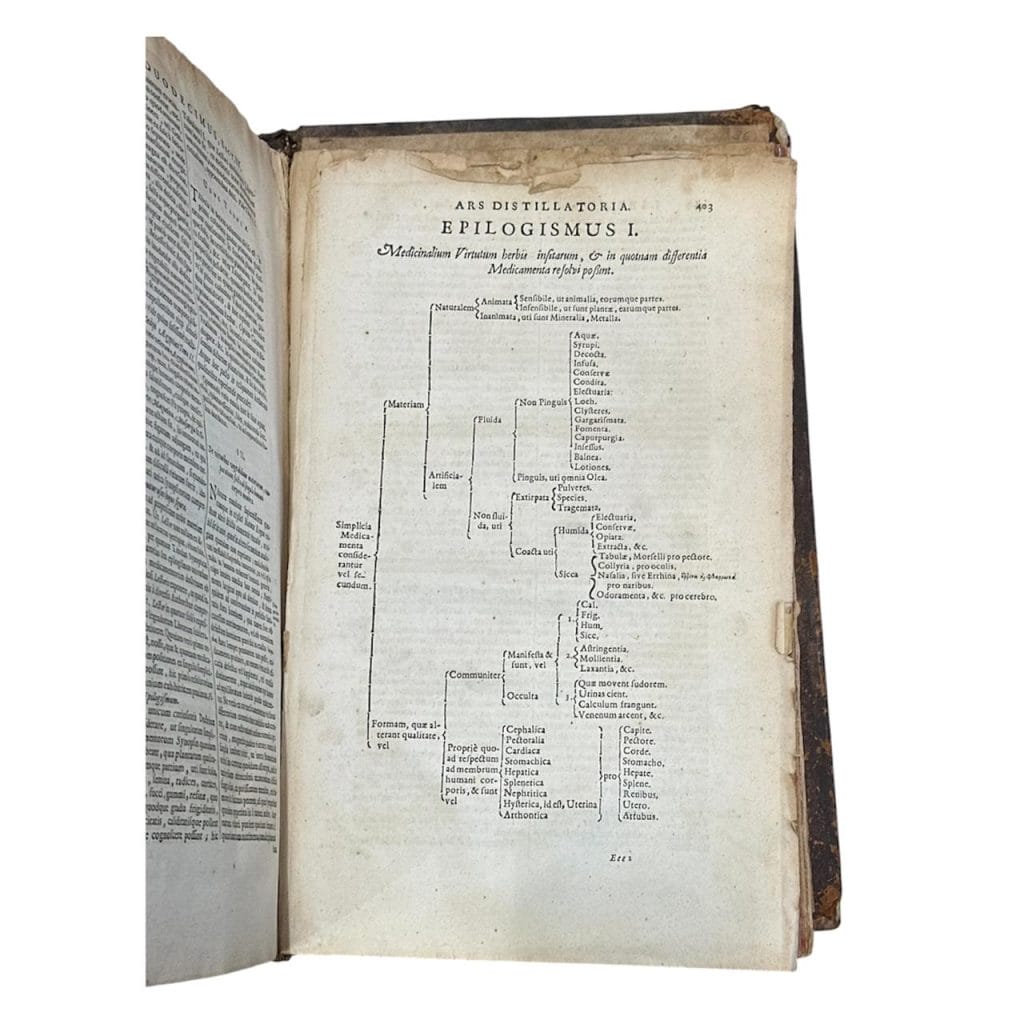 OBRA MAESTRA DEL SIGLO XVII: “MUNDUS SUBTERRANEUS” – ATHANASIUS KIRCHER (1665/1668) - Imagen 11
