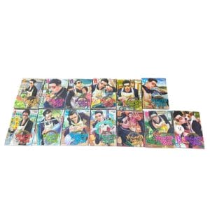 SET DE 13 MANGAS “YAKUZA AMO DE CASA” (TOMOS 1 AL 13) – KOUSUKE OONO