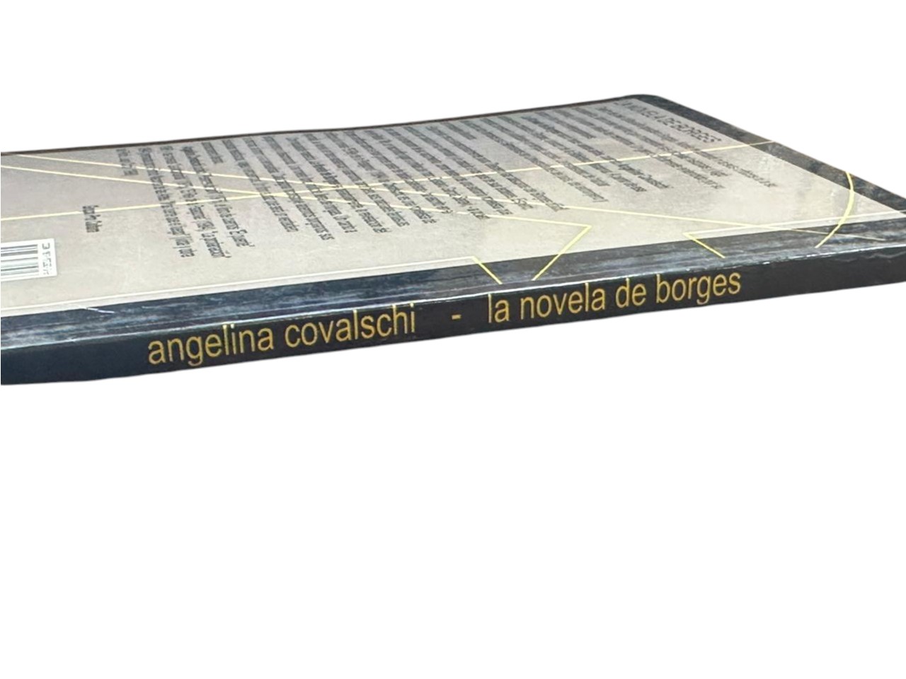Libro la novela de borges - Angela Covalschi - Imagen 3