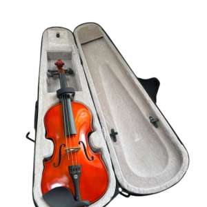 VIOLÍN DE ESTUDIANTE 3/4 CON ESTUCHE RIGIDO