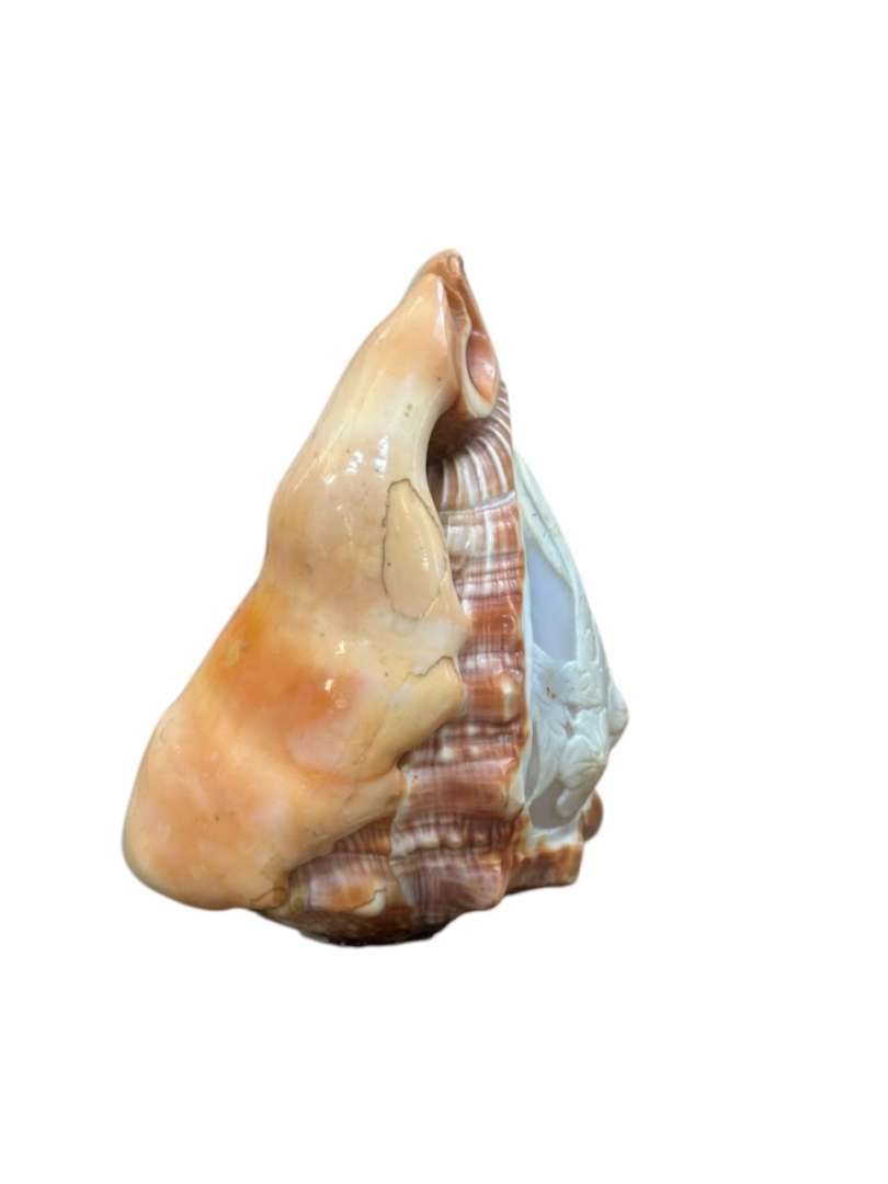 FIGURA DE LA VIRGEN TALLADA EN CARACOL MARINO (CAMAFEO EN CARACOL) - Imagen 3