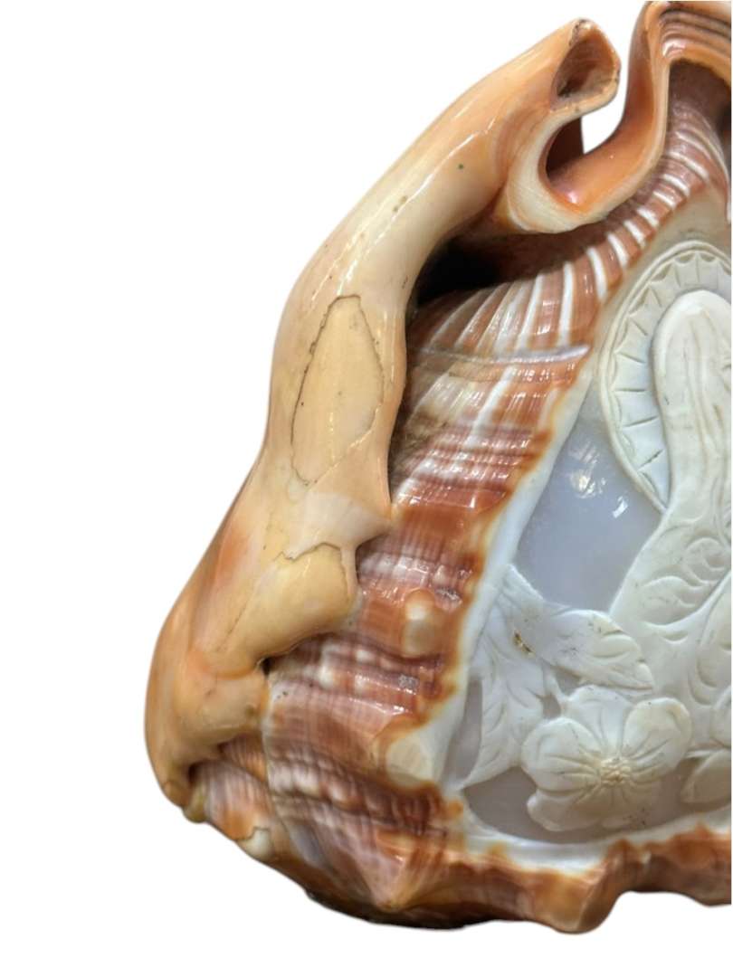 FIGURA DE LA VIRGEN TALLADA EN CARACOL MARINO (CAMAFEO EN CARACOL) - Imagen 5