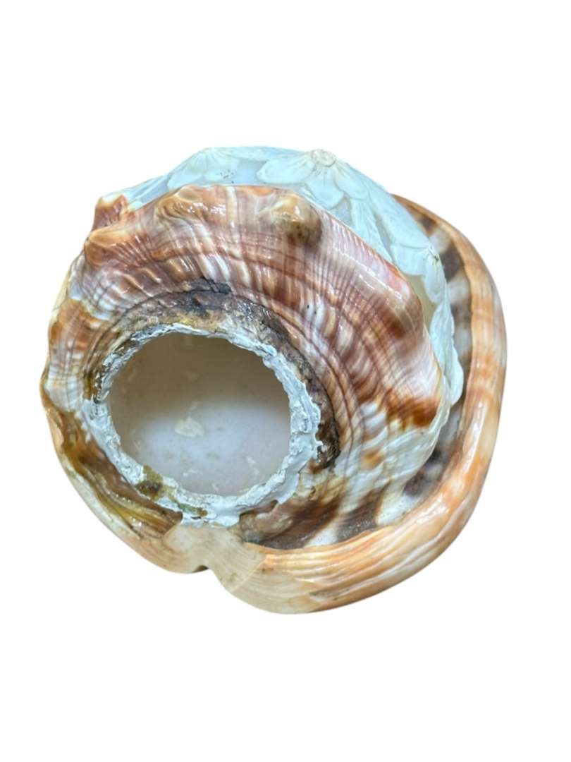 FIGURA DE LA VIRGEN TALLADA EN CARACOL MARINO (CAMAFEO EN CARACOL) - Imagen 6